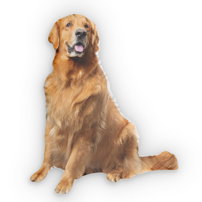 CustomDogPillow-GoldenRetriever