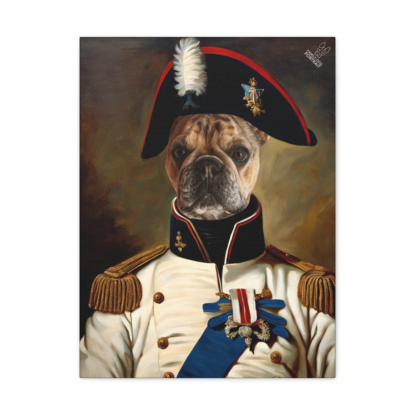 DogPortrait-NapoleonBonaparte-Front