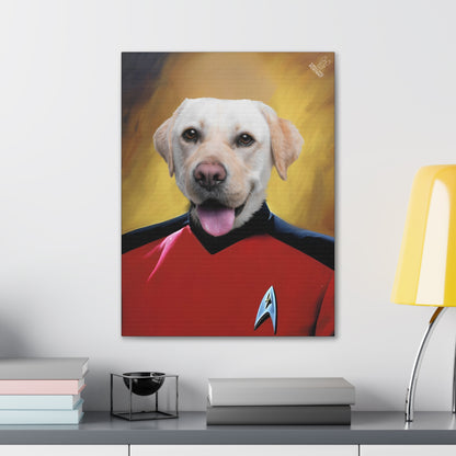 DogPortrait-SpaceCaptain-Lifestyle