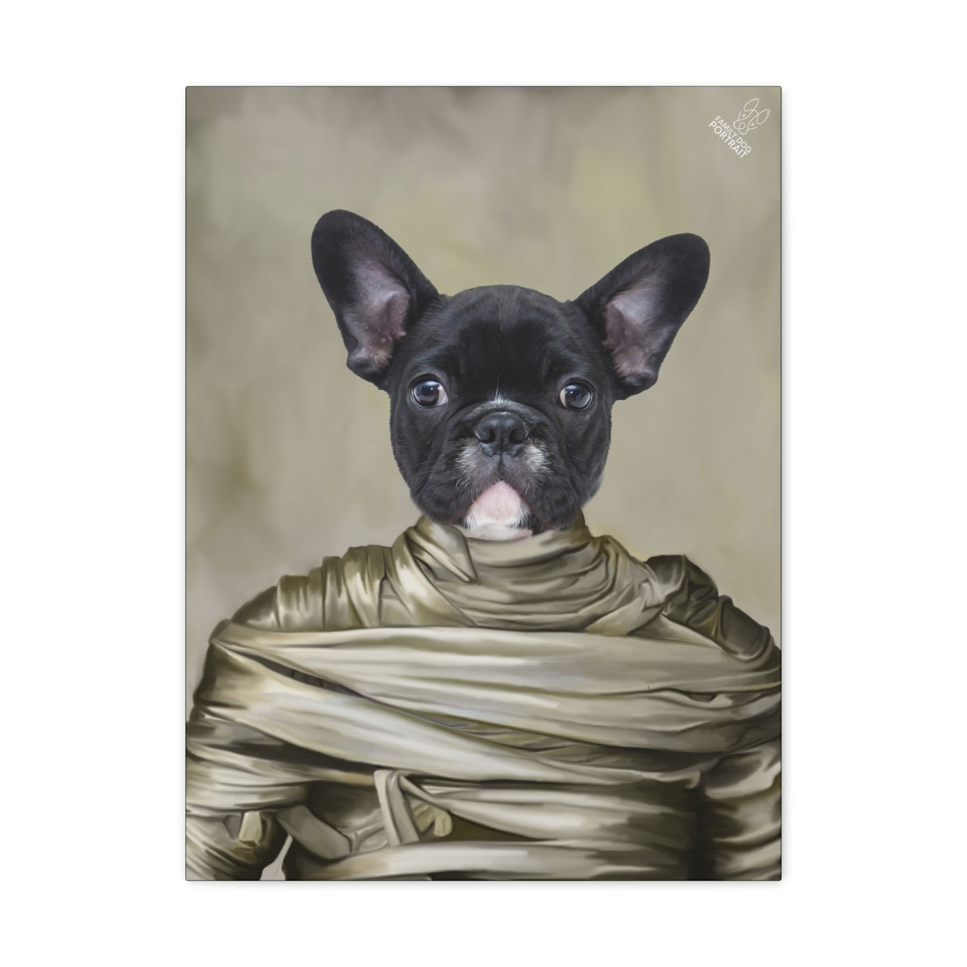 DogPortrait-TheMummy-Front